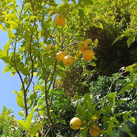 La Casa Di Sisi 아파트